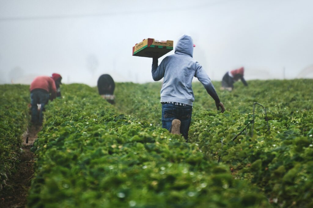 farmers denied proper paychecks.